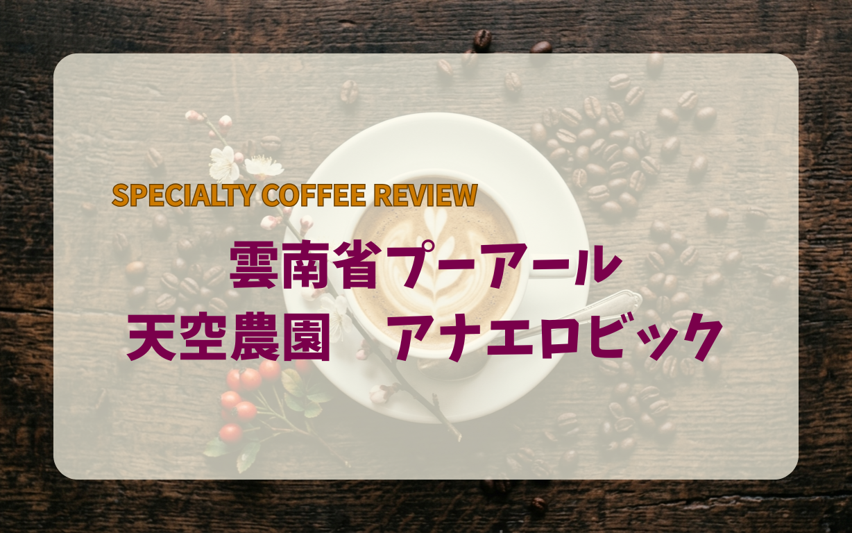 雲南省プーアール-天空農園-アナエロビック